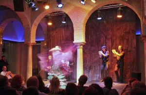 Museo Cristina Hoyos + espectáculo