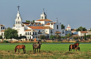 Escapada a Doñana para dos